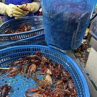 С��Ϻ������������19¥APP���ѷ�����������