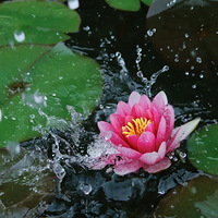 ë��ҲҪ�������ˣ�����ҹ�������꣬�������������