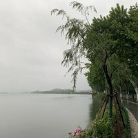 �񳿣����űߵ��߿�������ֲ��ɣ�����������Ӧ����������׷