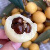 �������ʣ�99Ԫ��������6�����ĩ������ժ�ַ���ζ���֭