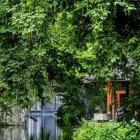 ���İ����ߡ����ͺ��̵ơ�������������н�С������������