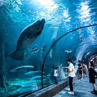 ��һ����ͨ�ã�350Ԫ1��1С���泤�Ǽ��أ��������պ�����