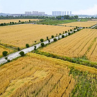 �����ϵ�����ʫ�ʣ����ݲ����˳������������ר��ȥ������ȡ..