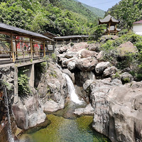 ����2.4�򲽣�ţ��