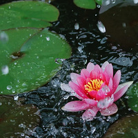 �����ߵ�˯�����࿪�ţ���������Ī�λ�԰