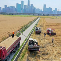 ���廪��ʿ����Э�������»�Ӧ��ʵΪ������ҵ���������