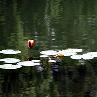 ����������������ȫ�泹��̲Ĳ�ͼ������������