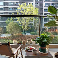 �����������棬��Щ�����Ժ����ޡ���̨��