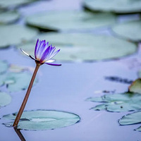 ����Ա��1��ֻ��ȥ2�β�����ɽķ��Ӧ���������