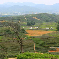 ����ȥ���棿������19¥���ѷ����Ĺ�����ˮ���μǣ�ֻ�Ƕ��ž�