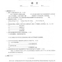 С���������Ծ�