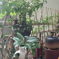 �������