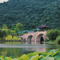 �����������������Ϊ������������������飬����Ϊ�����