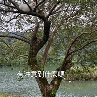 ���շݵĹϣ�����躹�����飬����ɹ����һ���˳�����