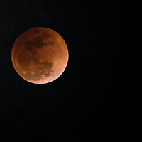 ����Ͷ��������������ѧ�����������