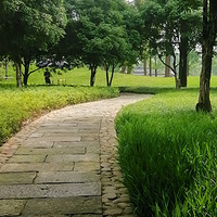 ƽƽ����������ȻȻ