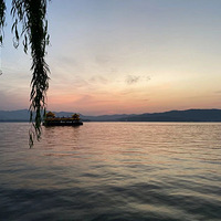 95������̸������˽�����ҽ���