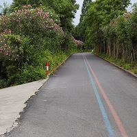 ��ֻ����