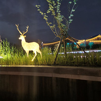 ����ʧ����������