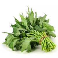 �ƺ�����ţ�̵� 3 ���������߲����а񣬴����Ϳ�ϧ��