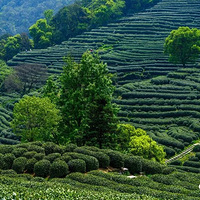 ��ס����������ʲô���飿���Լ�Ժ����۲ͱ��ο��ʳԷ�����û��