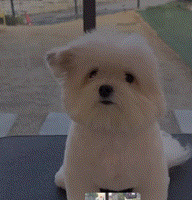 ����ĩ�������˴����ǽ�����ٽ�ͷ��