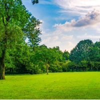 Խ�㡤�����Ϊʲôȫ���ݶ���Ѱ���������󷿣�