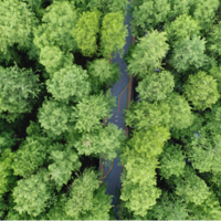 Խ�㡤���óǣ�����Ԥ���������ó�����һ���Ķ�������