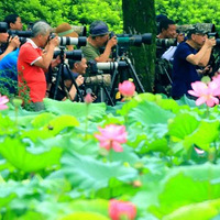 ���죬��÷������δ��3�콫����37��