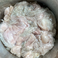 ��һ��±������