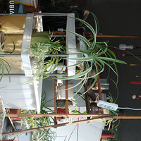 ��ͼ����������������