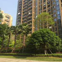 �����ڱ����и��ҡ���������