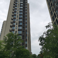 �����ڱ����и��ҡ�55���ҳ�Ϊ���º�����