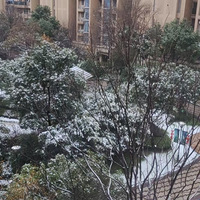 �����ڱ����и��ҡ��ѼҰ�������