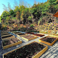 �Լ������ϣ�ÿ��𼦵����������ӳ��ʰ�����ɽ���ΪС����