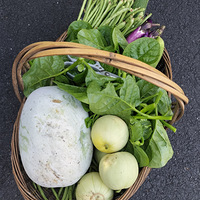 ��������ɫ�߲�