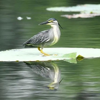 �������ӱ�����������ͨ��ȫ��������ί���������ŷ��¼���������