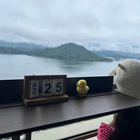 ����ò�����������ݱ�����������α��ص�