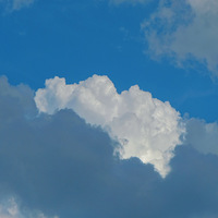 �㽭�����߸���������ô����