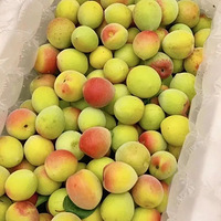 ���ݽ�ͷ���֡����ͣ��λ�������ѣ����·��㡰���㡱��