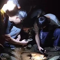 ����Ӣ�ۡ������ػ����ĵ�Ӫ�ȡ�����Щ����Ӫ�������������ͺ�ȼ