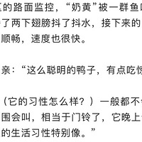 Ѽ�ӱ����ŵ������������ݻؼ�