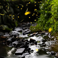 ���²��ϣ����ܹ�԰һ�����߳���͸��......