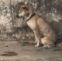 �� 3 �ֺȿ��ȵķ�ʽ���������Խ��Խ����