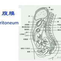 �忼ϵ�С�ʲô�ǲ��������10000%���⣿