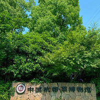 ����������������һ�����š�����ջ��������Ȼ���Ͱ������йأ�