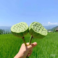 ���˶���׷������Ʒ�ʵ�ʱ��