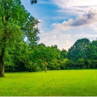 Խ�㡤�������������ĳ�оԺ�ӣ������ճ�����ʱ��