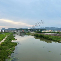 ����2�����������������飬��ֵ������