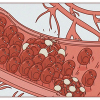 ���緹��һ��ϰ�ߣ��������㷸��������